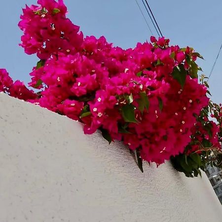 Ona Apartament Sarande Ngoại thất bức ảnh